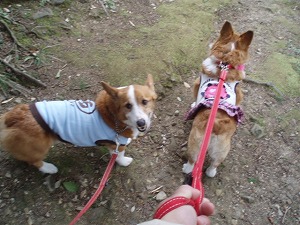 ルーク君も喜んでる？