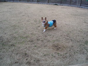俺も楽しいぜぃ