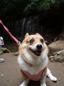 モモも気持ちいいね