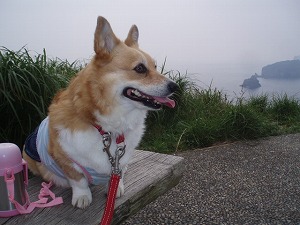 ユウスゲ公園で。