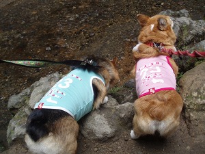 今にも入りそう