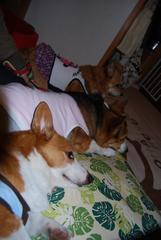 寄り添う子供達