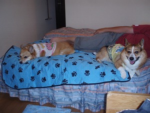 長旅疲れの親子