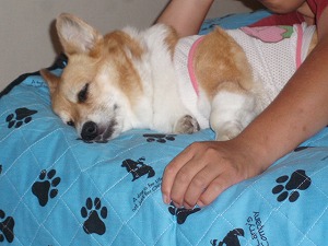 主役もおねむ～