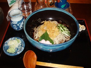 冷やしたぬきそば