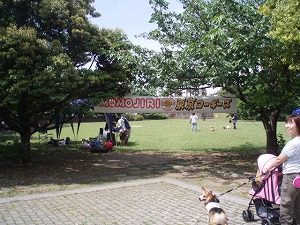 東京コーギーズ春のオフ会　2011