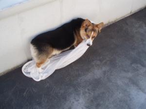 何だ、俺のことか！？