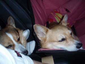 お疲れ様もーたんつーくん