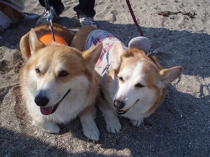 ラニちゃん、モアナちゃん