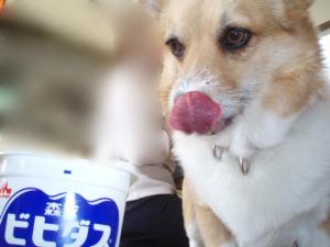 やっぱりこれだけはやめられないよ