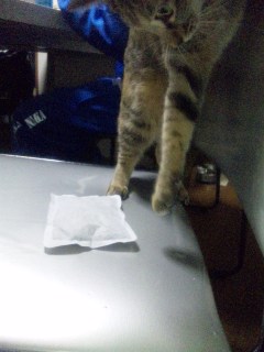 とにかくカイロが好き 2.jpg