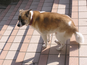 階段５