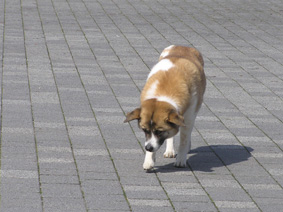 落ち着かない２