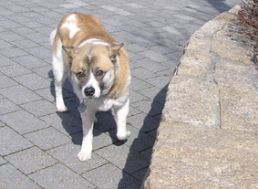 落ち着かない３