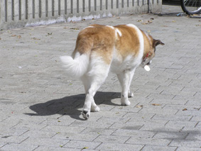 信じられへん～