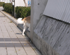 何かが２
