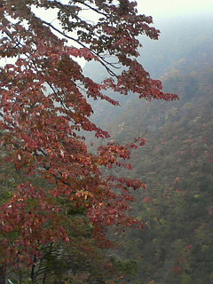 2008-10-22 17:05:40
