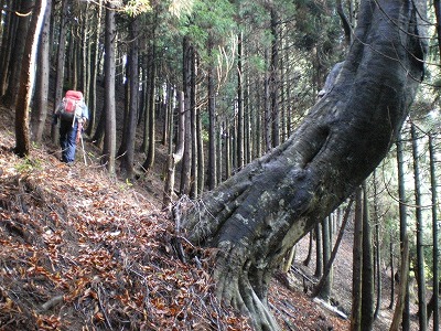 2008-12-1-wakasakoma 016.jpg