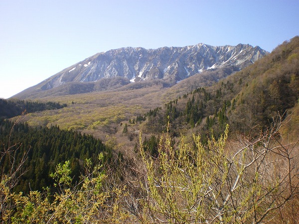 2009-4-18-daisen 222.jpg