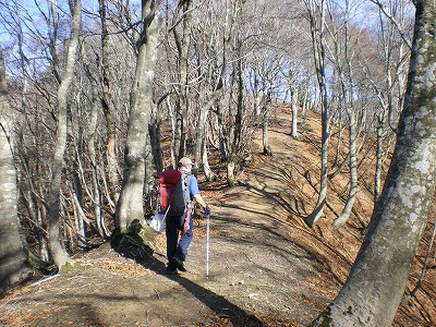 2008-12-1-wakasakoma 047.jpg