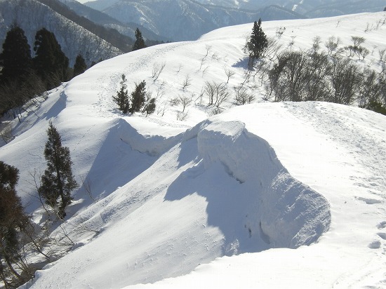 2009-1-28-bunagatake 109.jpg