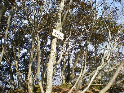 2009-2-15-ibune 159.jpg