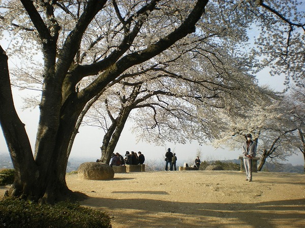 2009-4-3-amakashi 025.jpg