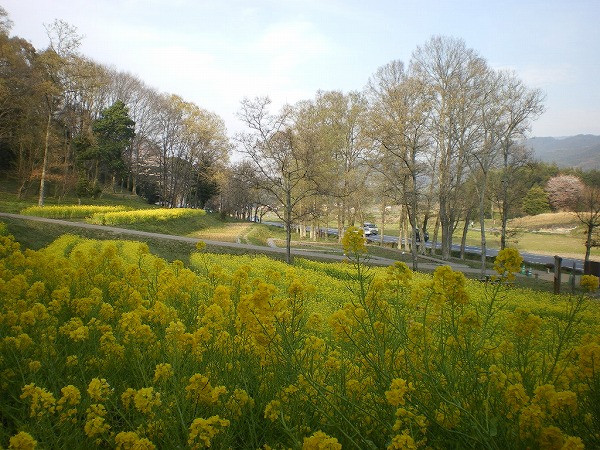 2009-4-3-amakashi 028.jpg