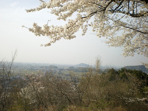 2009-4-3-amakashi 024.jpg