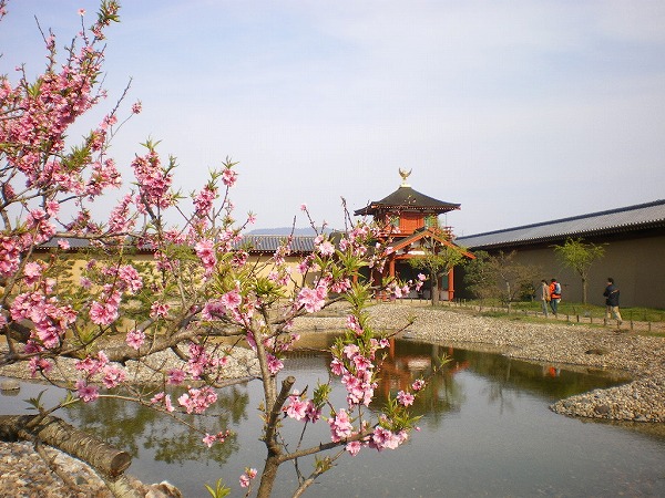 2009-4-5-heijyokyu 030.jpg