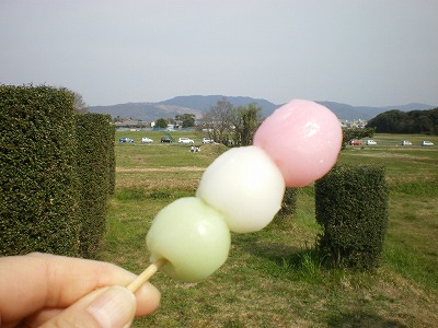 2009-4-5-heijyokyu 004.jpg