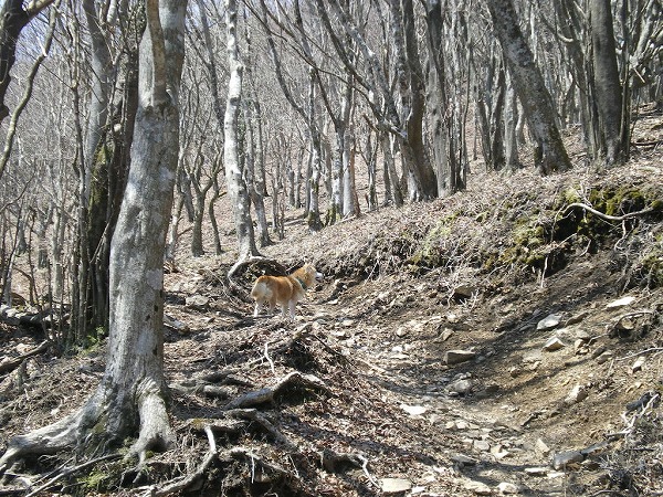 2009-4-7-takami 052.jpg