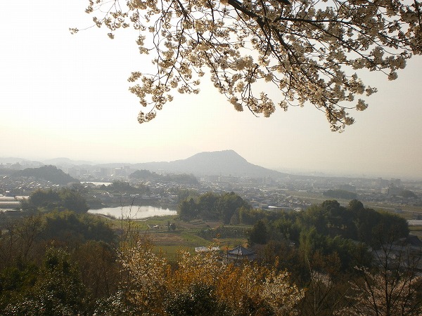 2009-4-3-amakashi 020.jpg