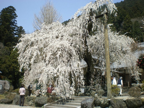 2009-4-7-takami 019.jpg