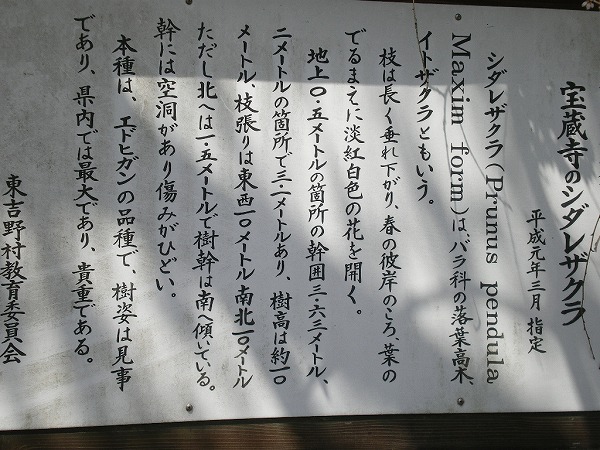 2009-4-7-takami 037.jpg