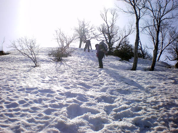 2009-3-21-arashima 0712.jpg