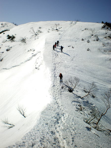 2009-3-21-arashima 0811.jpg