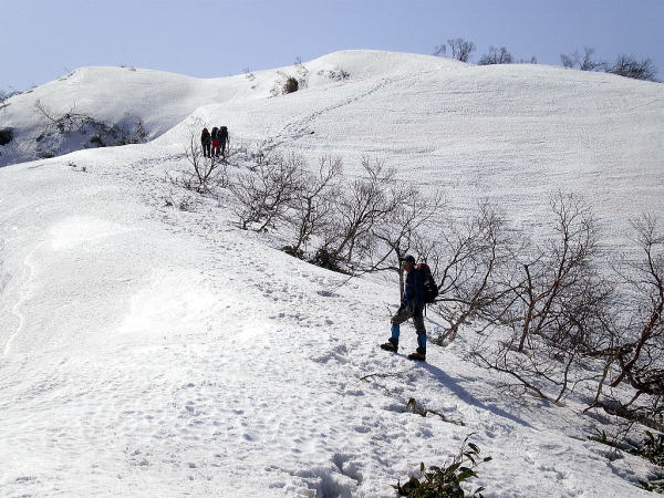 2009-3-21-arashima 0891.jpg