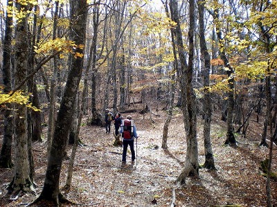 s-2008-11-1-takatuka 0491.jpg