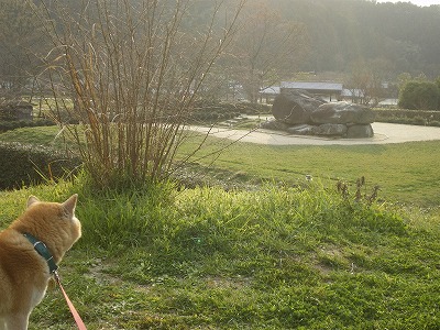 2009-3-26-asuka 016.jpg