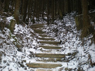 2009-1-8-kongo 004.jpg