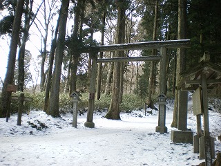 2009-1-8-kongo 007.jpg