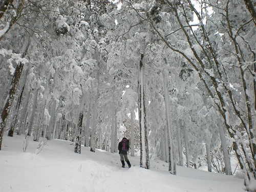 2009-1-18-myojin 034.jpg