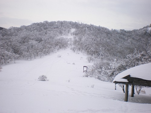 2009-1-18-myojin 040.jpg