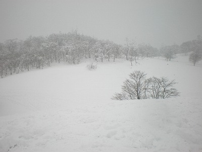 2009-1-18-myojin 056.jpg