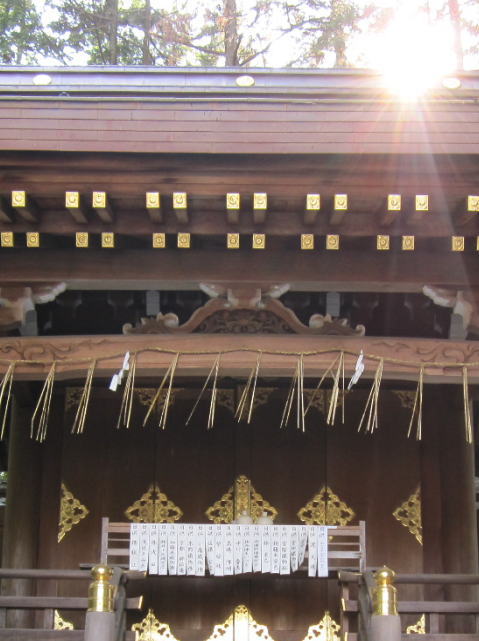 織姫神社　sunshine