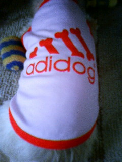 adidog2