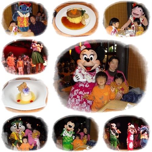 tdl110104