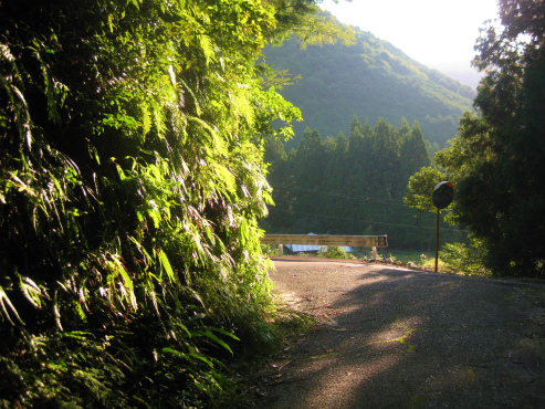 丸山千枚田