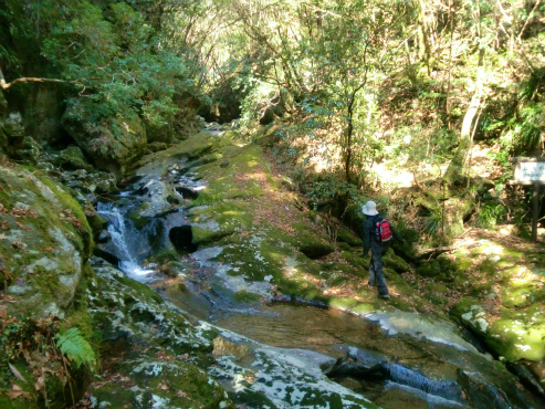 百間山渓谷